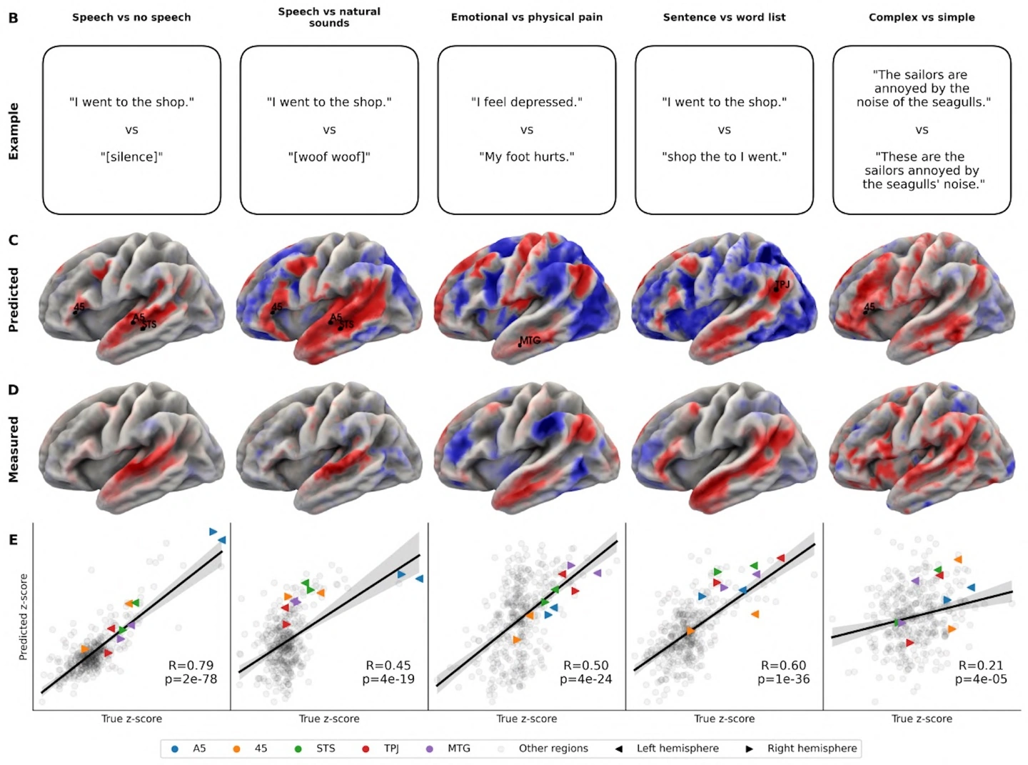 Meta开源全新AI模型TRIBE v2，精准预测人类大脑反应