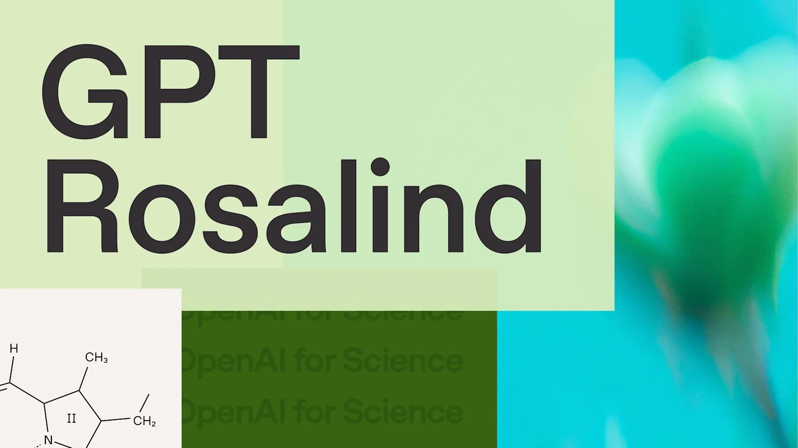 OpenAI推出生物学专用AI模型GPT-Rosalind 助力科研人员处理数据