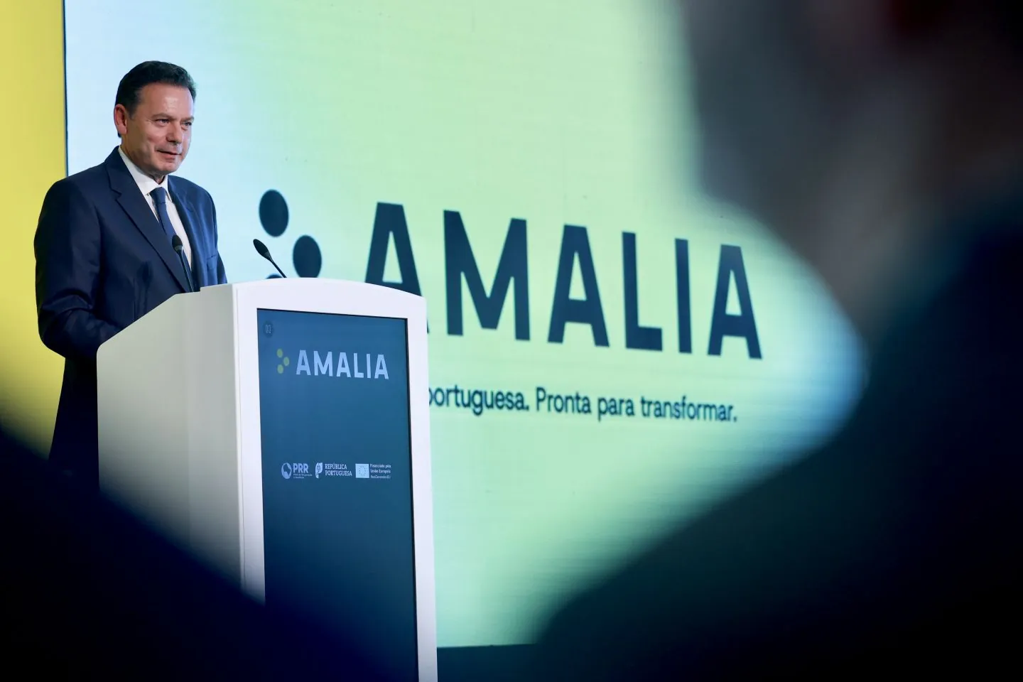 葡萄牙首发葡语开源大模型AMALIA,9B参数懂图文声